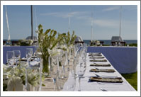 The Phalosa Wedding Reception
