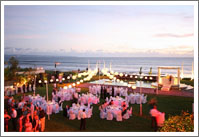 The Phalosa Wedding Reception